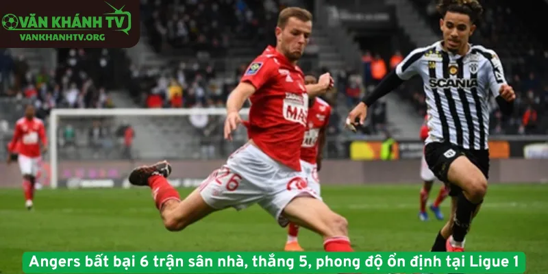 Angers bất bại 6 trận sân nhà, thắng 5, phong độ ổn định tại Ligue 1